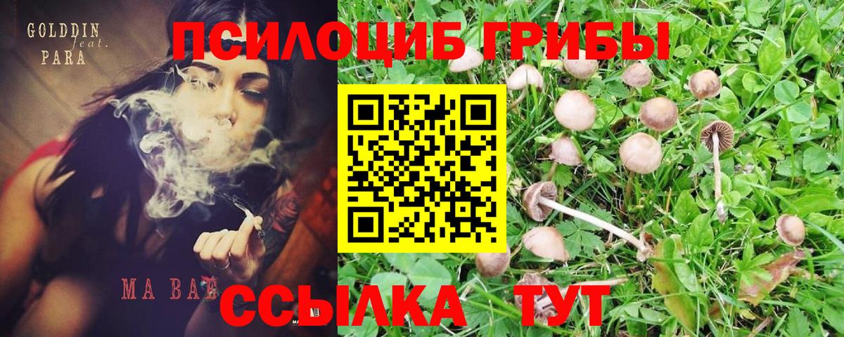 Вологда  Галлюциногенные грибы мицелий  Вход с VPN 