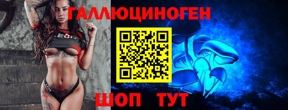 Псилоцибиновые грибы GOLDEN TEACHER Вологда